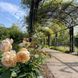Hyde Park (Хайд Парк)